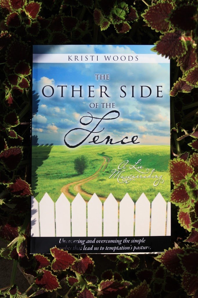 The Other Side of the Fence; A Lie Masquerading