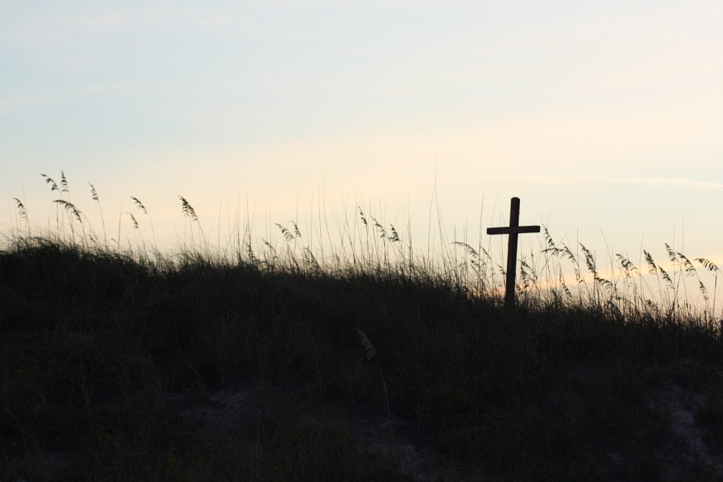 Finding Shelter Amid the Storm