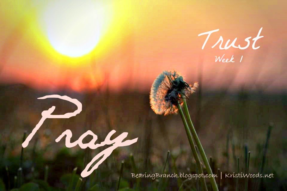 Trust & Pray