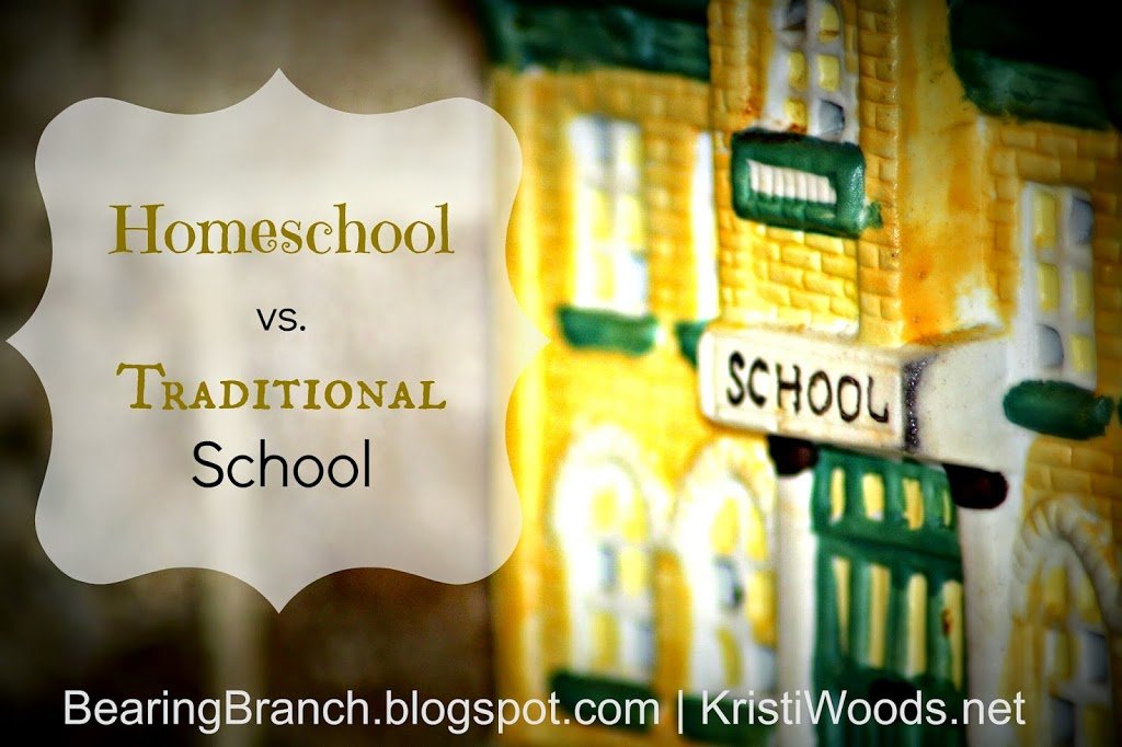 Girlfriend to Girlfriend: Homeschool vs. Traditional School, Part 1