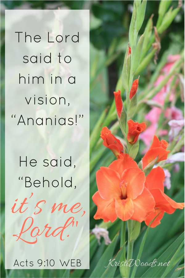 Will You Be God’s Ananias?