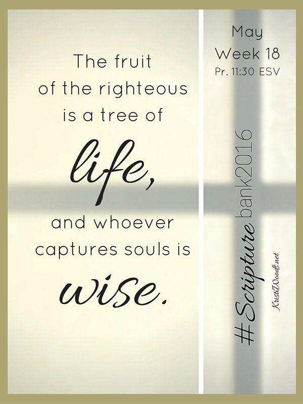 The fruit of the righteous is a tree of life, and whoever captures souls is wise.