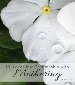 White flower with raindrops, Christian blog post title overlayed: My Love/Hate Relationship with Mothering