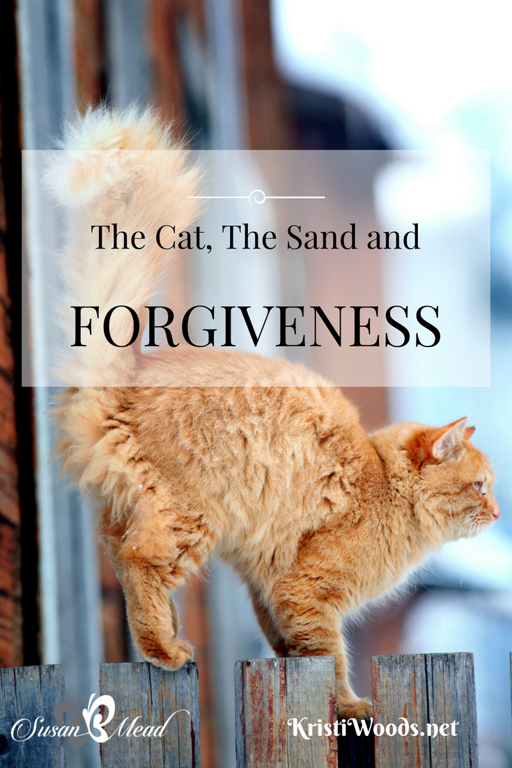 The Cat, the Sand, and Forgiveness {Guest Post}