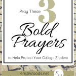 Pavers with Christian Blog post title overlay of Pray These 3 Bold Prayers to Help Protect Your College Student