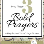Pavers with Christian Blog post title overlay of Pray These 3 Bold Prayers to Help Protect Your College Student