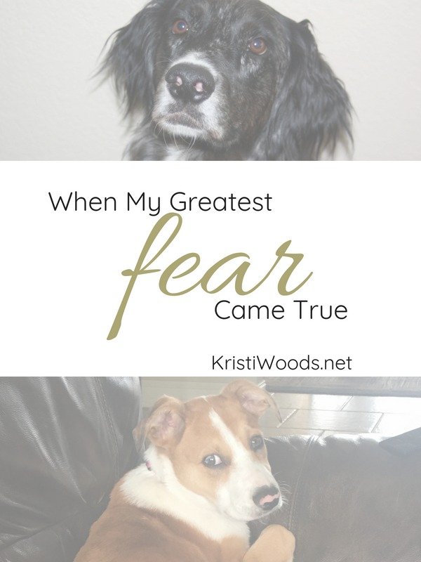 two dogs, one at the top and one at the bottom, with the words "When my greatest fear came true" written between them