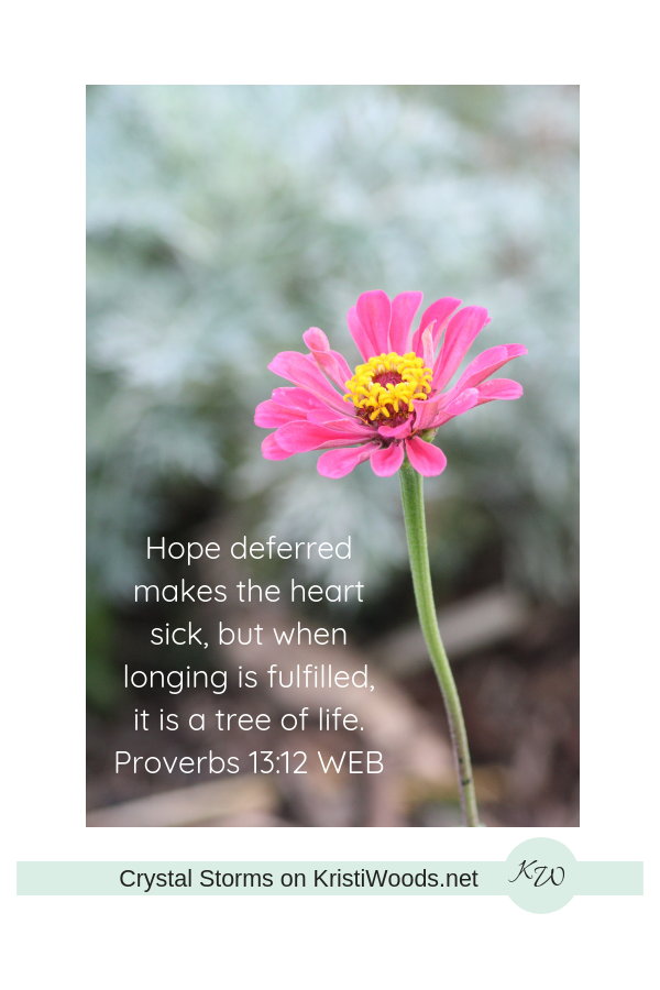 pink zinnia with Prov. 13:12 WEB in white lettering