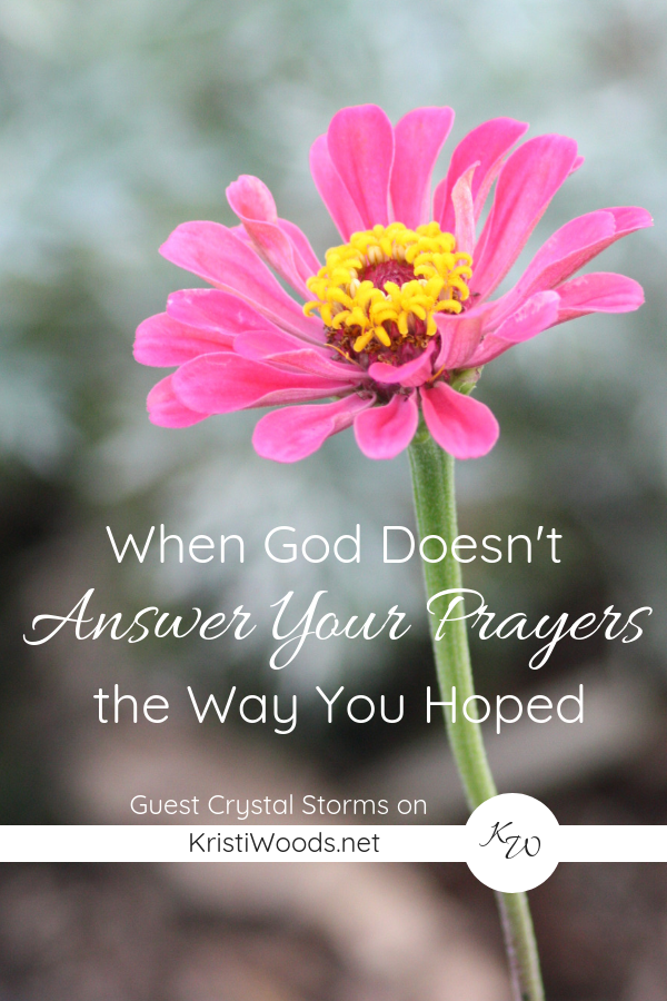 When God Doesn’t Answer Your Prayers the Way You Hoped { Guest Post }