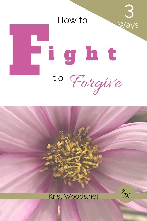 A pink flower with the Christian Blog title: 3 Ways: How to Fight to Forgive