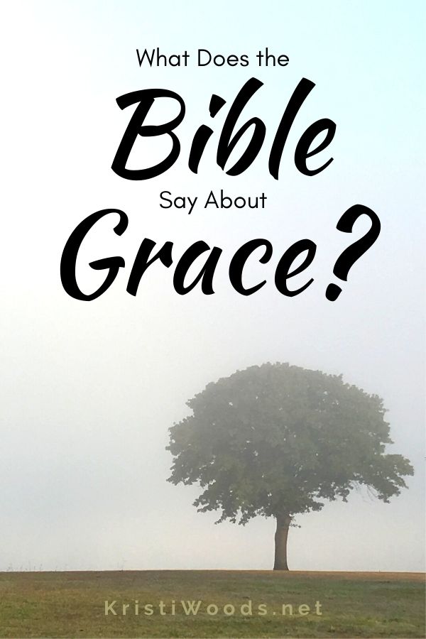 Lone tree on a foggy morning with Christian blog post title: What Does the Bible Say About Grace?
