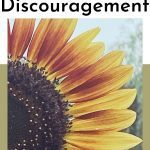 Sunflower with Christian blog post title: Help to Overcome Discouragement