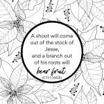 Christmas Bible coloring page with poinsettias and a Bible verse