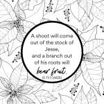 Christmas Bible coloring page with poinsettias and a Bible verse
