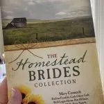 The Homestead Brides Collection