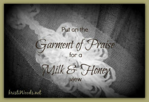 Lace with words: Put on the Garment of Praise for a Milk & Honey View
