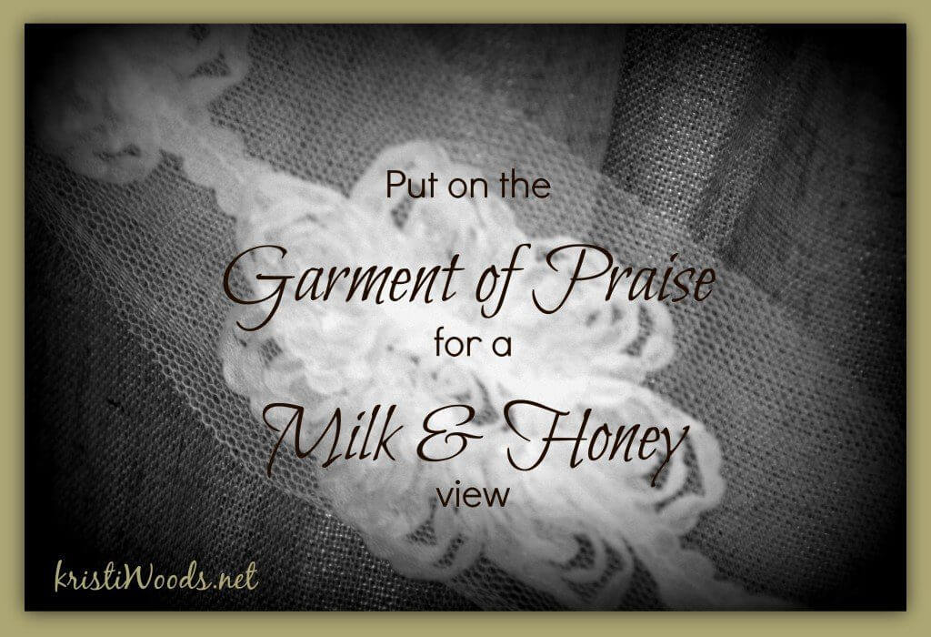 Lace background with post title: Put on the Garment of Praise for a Milk & Honey View