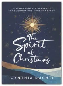 Book cover for the Spirit of Christmas