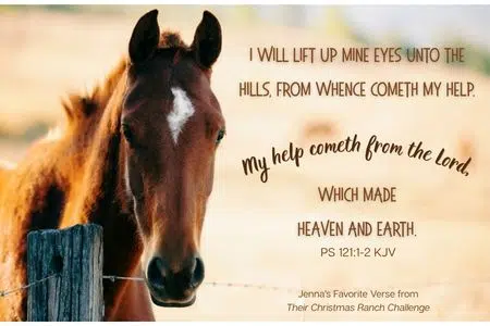 Horse with Bible verse from Psalms